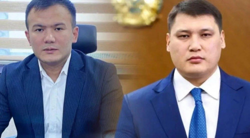 2025_08_06_crop-11_7_645x1169_img_3781